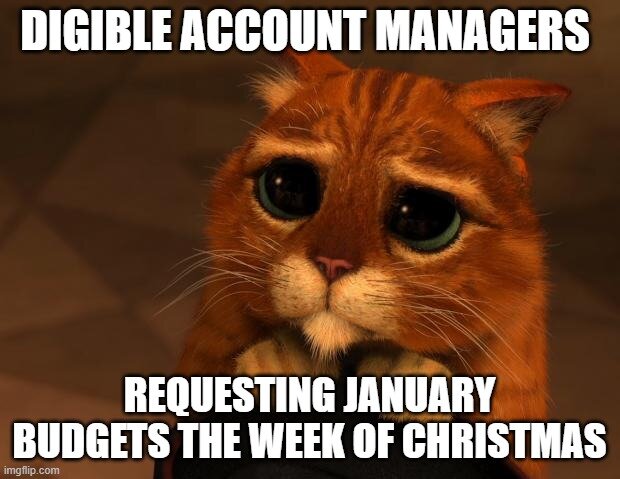 Digible Memes: January Budgets