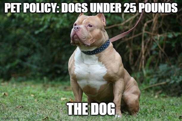 Digible Meme: Pet Policy
