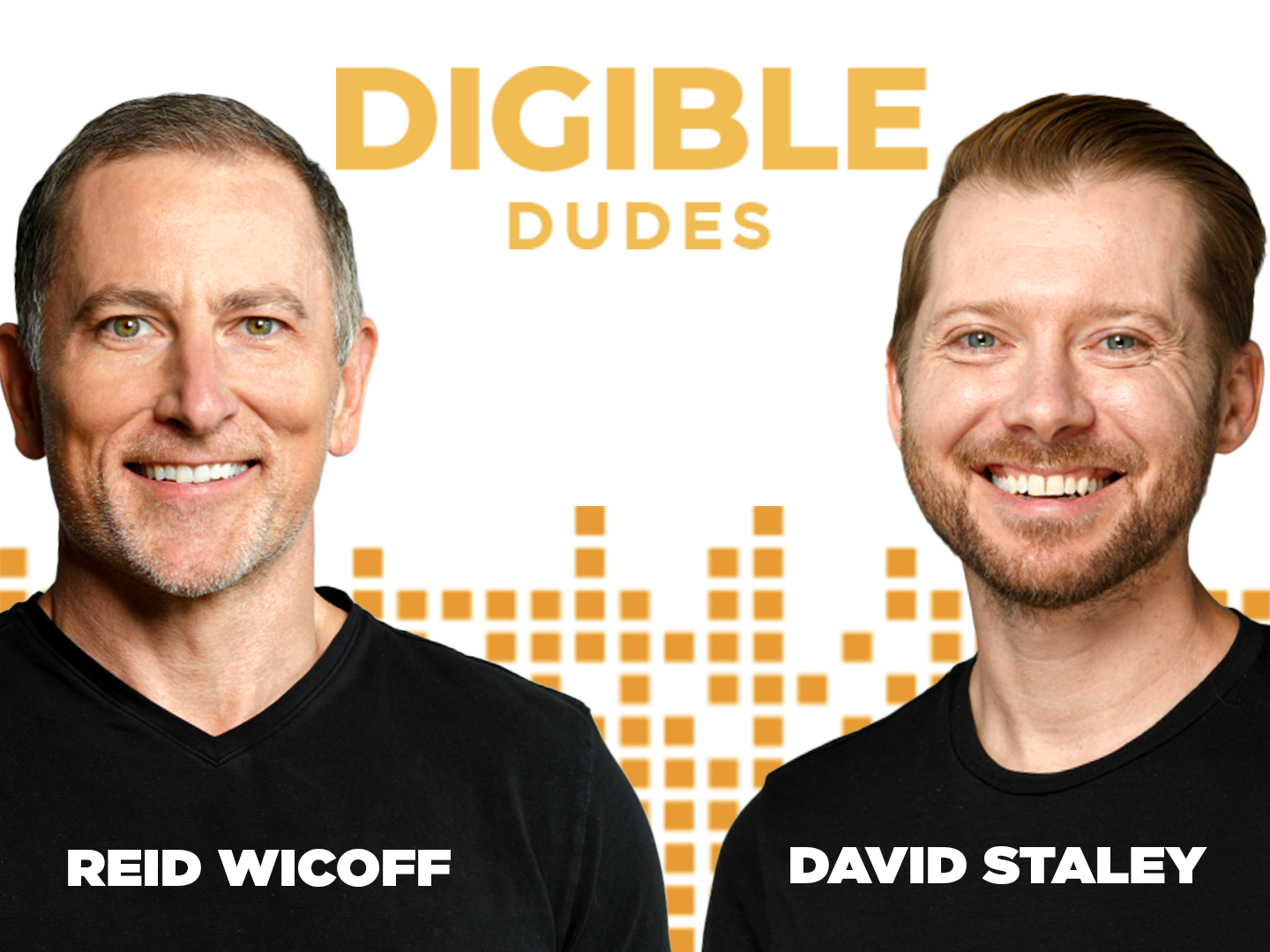 Digible Dudes Podcast