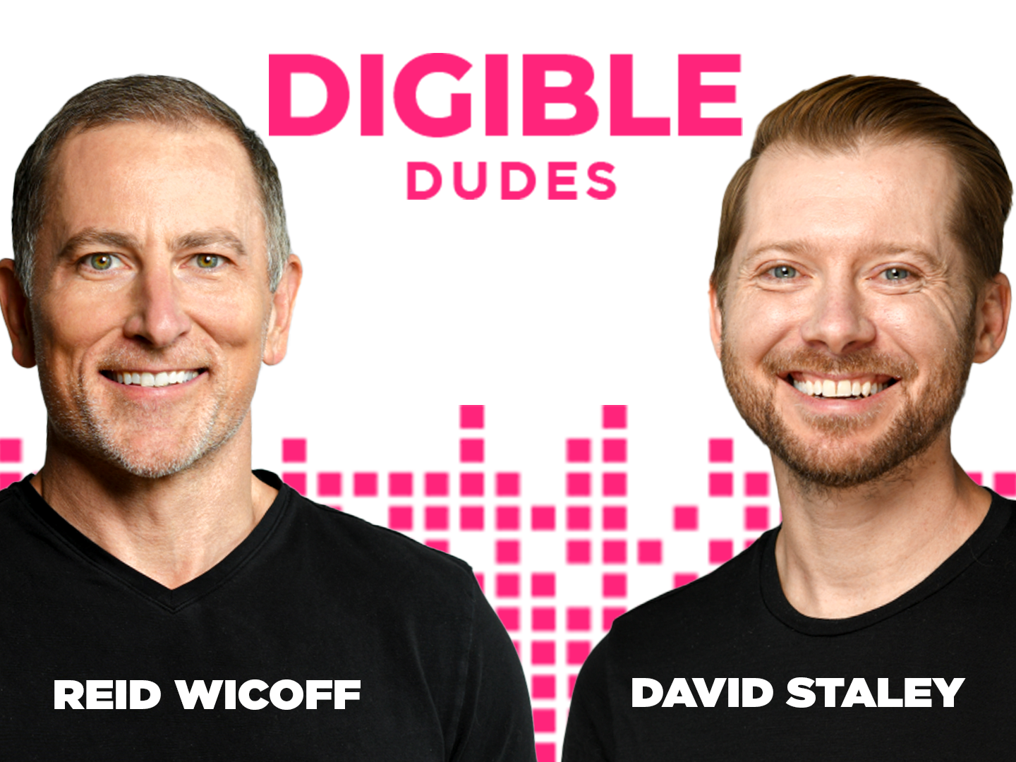 Digible Dudes Podcast