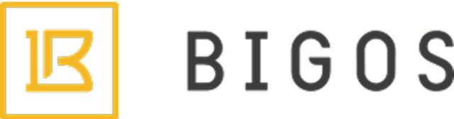Bigos-Management-Logo.png